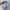 Topi NHL Team Colombus Blue Jacket Logo Camo AOP Idegy photo 4