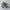 Topi Baseball Santa Rita Stallions Logo AOP Zephyr photo 2