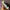 Vintage Hat Pria green pink photo 5