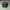 Vintage Hat Pria green photo 1
