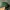 Vintage Hat Pria green photo 2