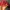 Vintage Hat Pria white red photo 3