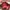vintage coach carly brown shoulder bag photo 10
