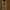 GOODENOUGH Sportswear Parka Wanita Tan
