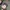 DICKIES Genuine Canvas Workwear Ball Cap photo 4