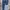 naked and famous jeans salvage photo 2
