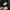HOODIE ACOVER photo 7