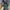 Rok Jeans Highwaist photo 4