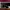Nike Sneakers Lebron Soldier XIV EP photo 3