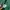 PULLOVER HOODIE CHAMPION GREEN HUNTER photo 5