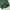 PULLOVER HOODIE CHAMPION GREEN HUNTER photo 4