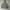 PULLOVER HOODIE CHAMPION GREY photo 2