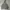 PULLOVER HOODIE CHAMPION GREY