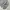 PULLOVER HOODIE CHAMPION GREY photo 4