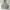PULLOVER HOODIE CHAMPION GREY photo 1