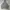 PULLOVER HOODIE CHAMPION GREY photo 2