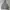 PULLOVER HOODIE CHAMPION GREY