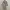 000127 LONG HOODIE photo 2