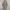 000127 LONG HOODIE photo 1