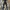 Baggy Jeans Rudolph Valentino@