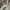 Hoodie zip basiz grey Shein photo 3