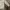 Hoodie zip basiz grey Shein photo 4