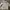 Hoodie zip basiz grey Shein photo 2