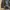 JAPANESE VINTAGE BOMBER CAFERACER LEATHER JACKET photo 5