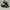 Nike Free 5,0 black white photo 1