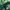 90’s vintaghe jezuz raider nation faded green hodie photo 2