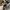 uniqlo blocktech photo 8