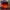 00’s y2k style bad boy short fire color combination photo 1