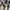Burberry Luxury Casual trouser Wanita tan cream photo 6