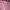 Longchamp tote bag mlh pink medium long handle  photo 1
