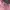 Longchamp Tote Bag Mlh Pink Medium Long Handle 