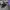 AIR FORCE 1 LOW X AMBUSH BLACK , AIR FORCE 1 AMBUSH BLACK ,  photo 8