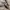 COAX Jacket Hidden Hooded Brown Faded jacket photo 7