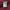 Hodie Double Focus  photo 4