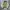  Nike ACG Half-Zip Pullover – Olive / Grey