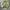  Nike ACG Half-Zip Pullover – Olive / Grey photo 7