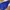 Adidas Trefoil Quarzo Hoodie Blue Tapped Three Stripes photo 3