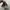 PREMIATA JOHNLOW 5070 Sneakers Calf Leather Nylon Fabric photo 8