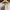 Guess photo 2