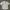 Vintage Casual Formal Shirt Pria White