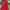Dress merah/gaun merah/gaun pesta/gaun prewed/prom dress photo 2