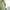 Longdress hijau/gaun hijau/gaun prewed/gaun promnight photo 2