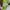 Longdress hijau/gaun hijau/gaun prewed/gaun promnight photo 6