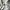 WhoAU California White Hoodie photo 4