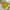 Clasic coat windbreaker anak burberry kuning cakep photo 8