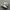 nike af1 photo 1